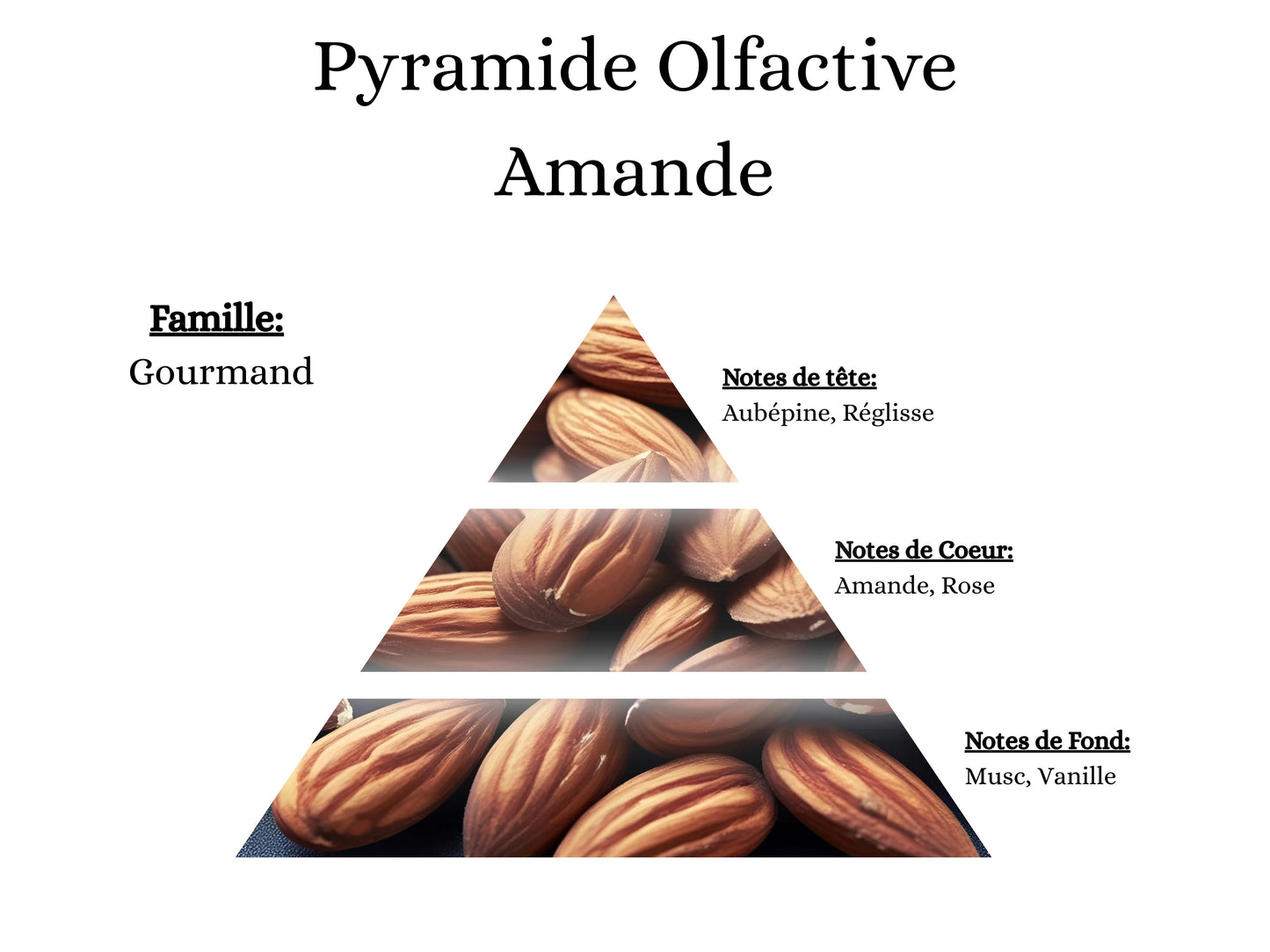 Notes de tête, cœur et fond du parfum Amande : l'univers olfactif doux, poudré et gourmand de mes créations - La P'tite Mèche