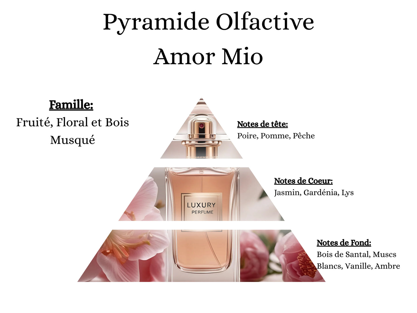 Notes de tête, cœur et fond du parfum Amor Mio : une fragrance passionnée aux notes de fruits rouges et agrumes, inspirée d'un grand parfum - La P'tite Mèche