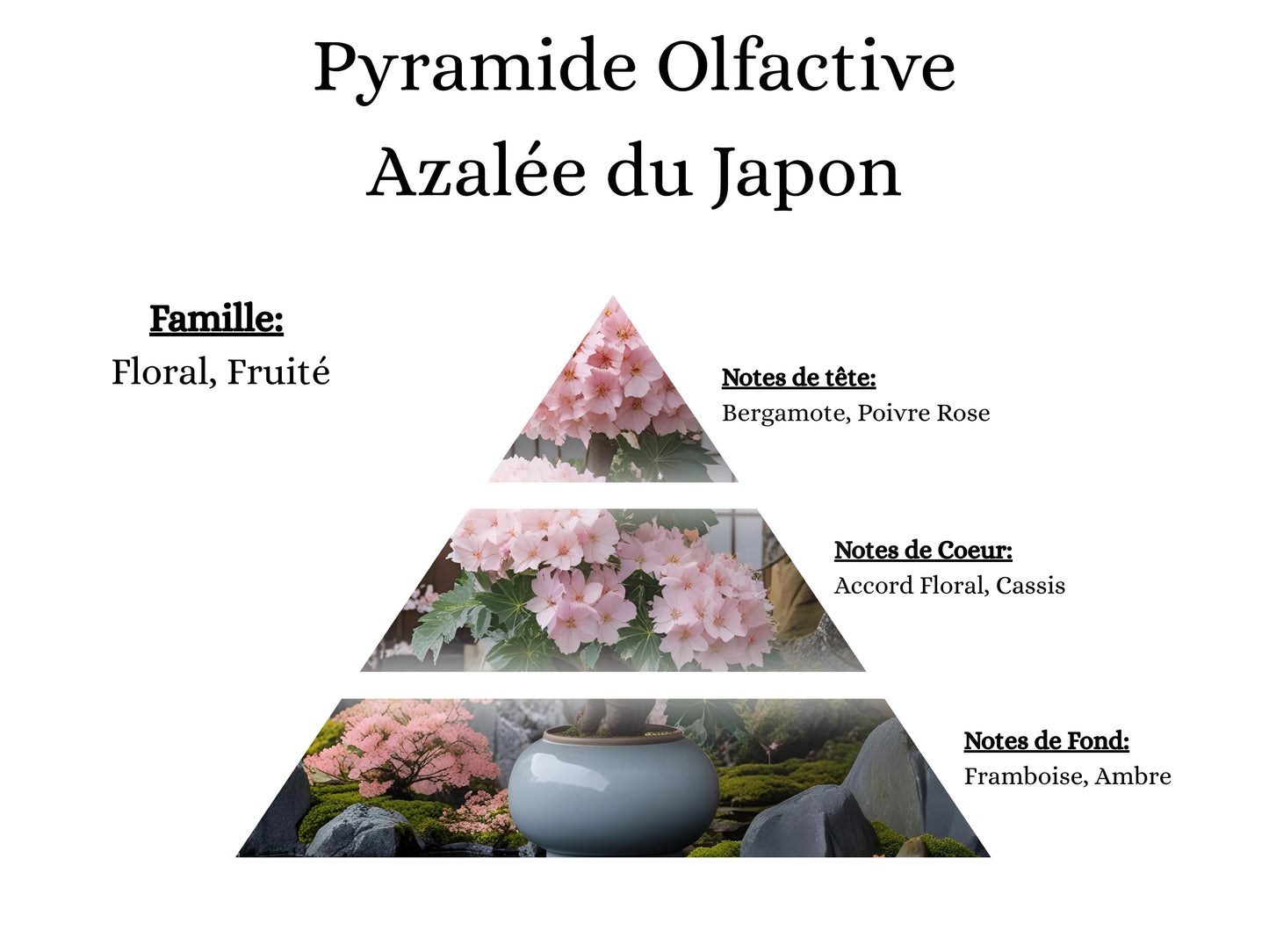 Notes de tête, cœur et fond du parfum Azalée du Japon : une fragrance florale délicate et sophistiquée - La P'tite Mèche