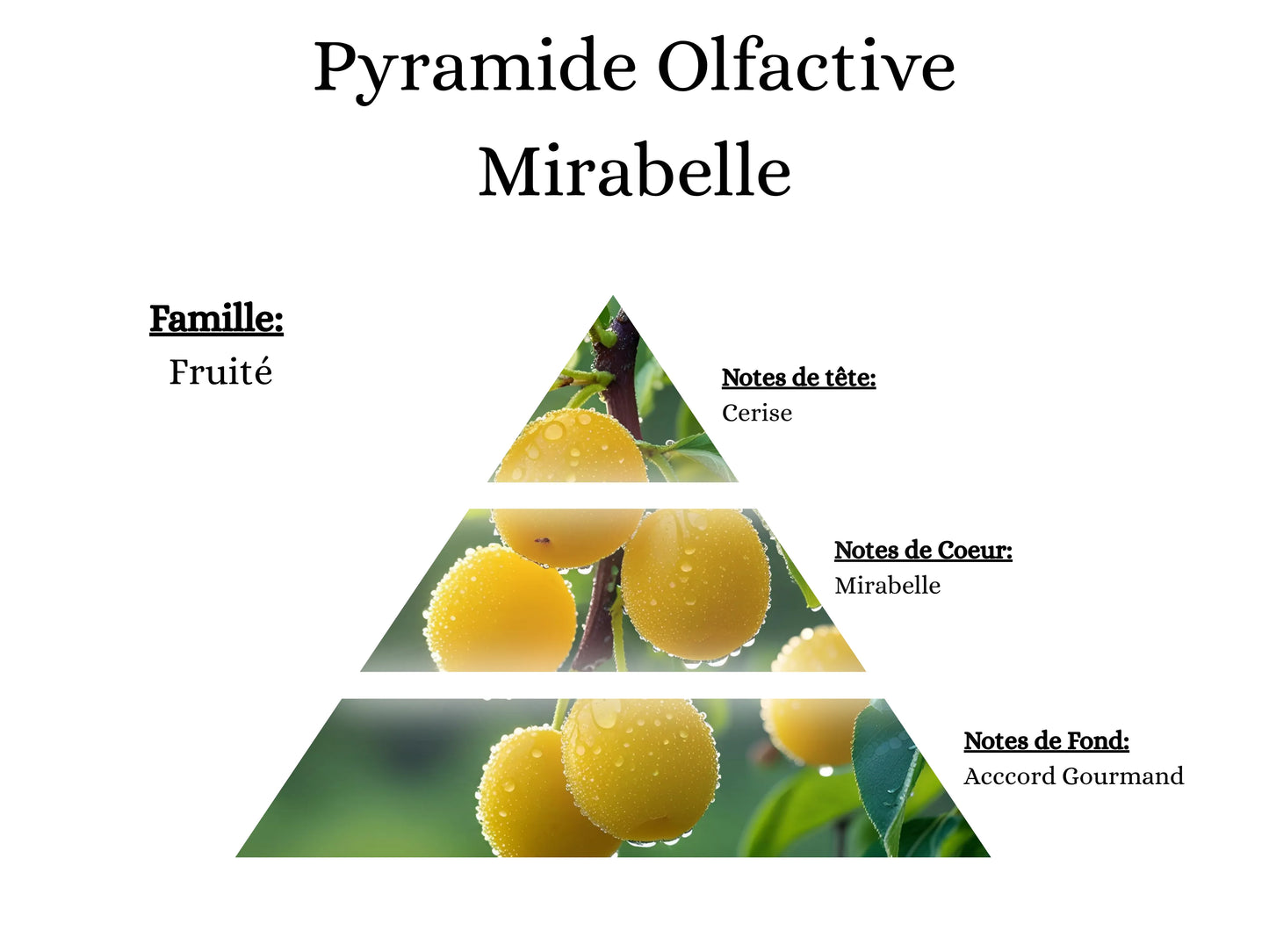 Pyramide olfactive Mirabelle pour mes bougies parfumées, fondants, sprays, poudres et suspensions - La P'tite Mèche