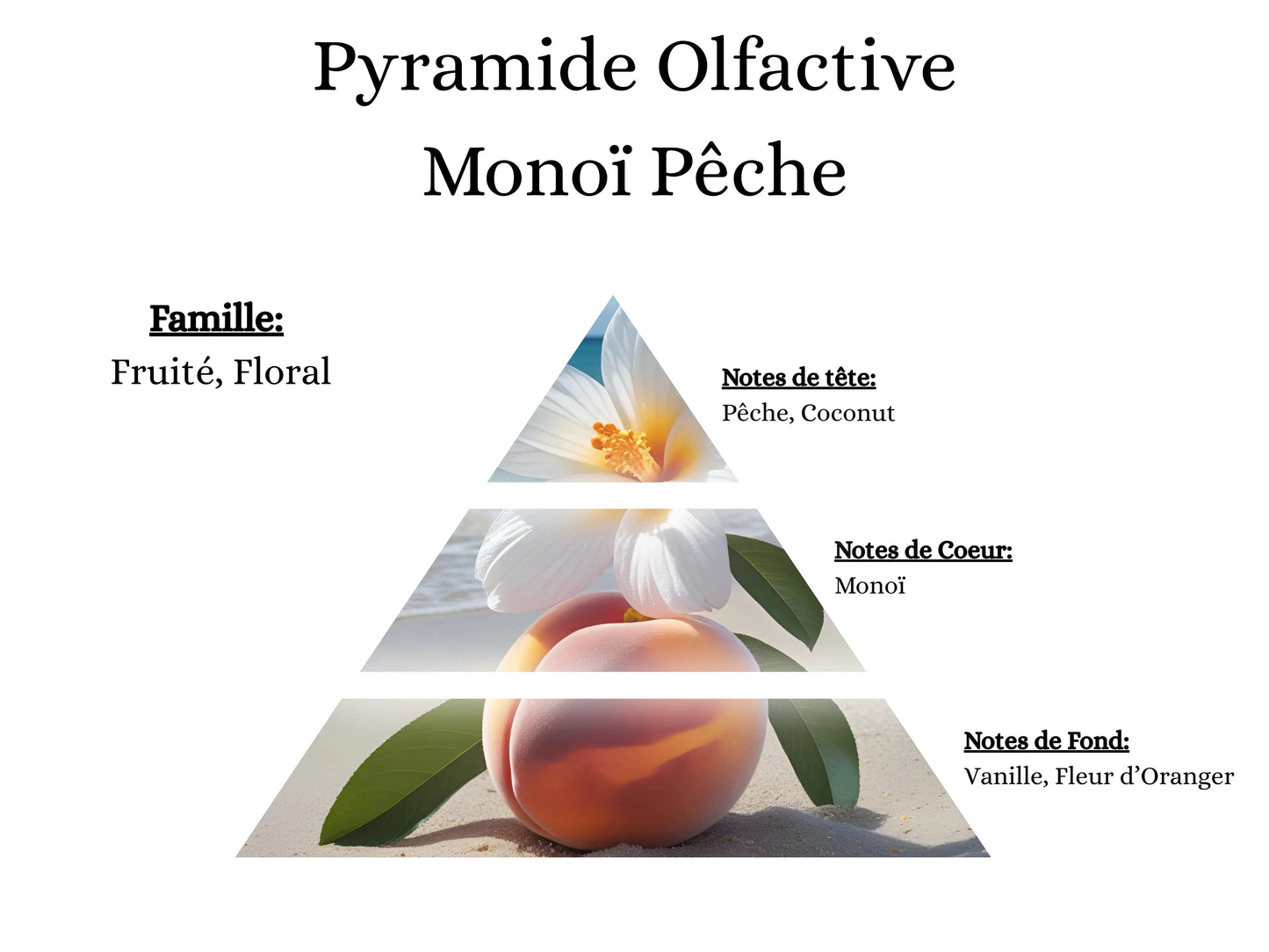Pyramide olfactive Monoï Pêche pour mes bougies parfumées, fondants, sprays, poudres et suspensions - La P'tite Mèche