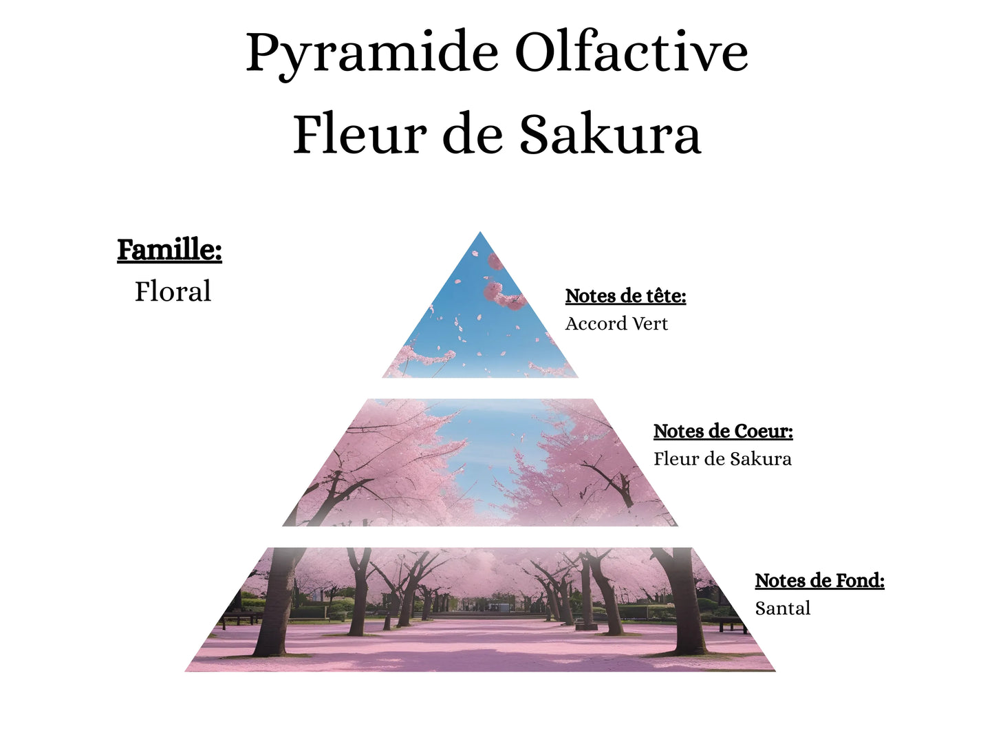 Spray Textile - Fleur de Sakura