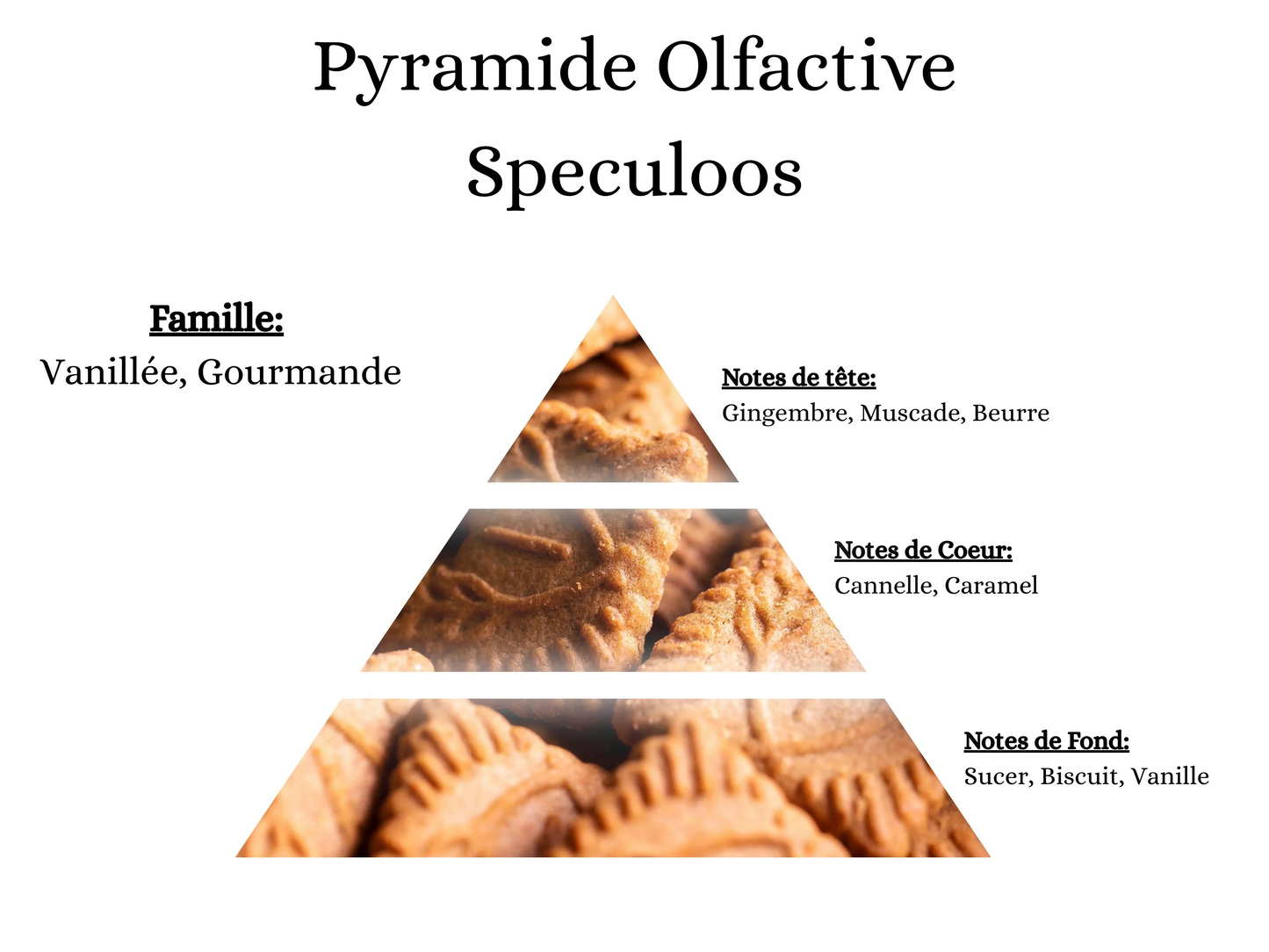 Bougie Gourmande - Speculoos