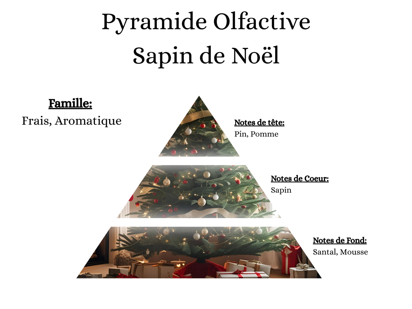 Coffret de fondants de Noël givré