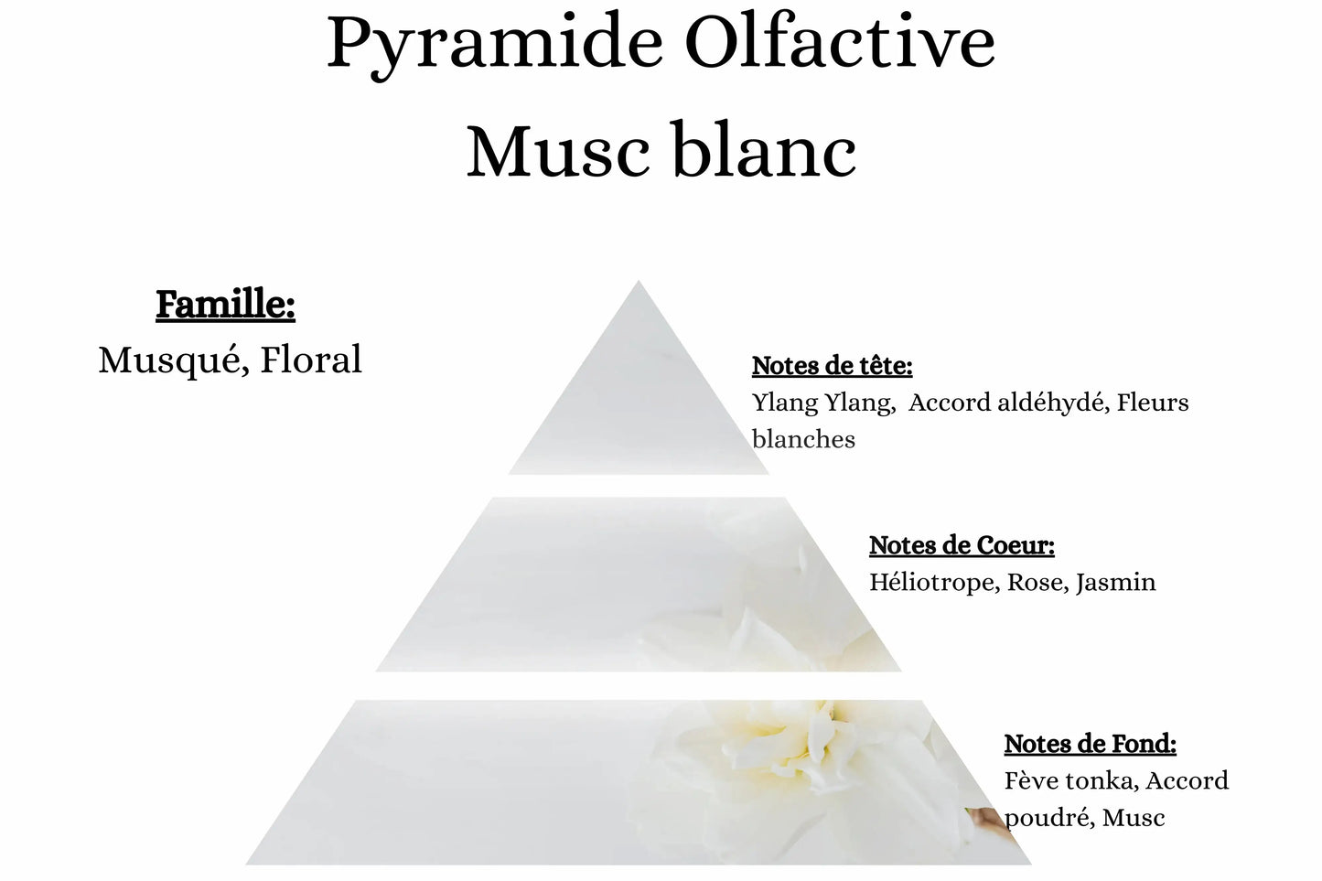Créez une ambiance élégante et cocooning avec la fragrance Mûre Musc Blanc de La P'tite Mèche