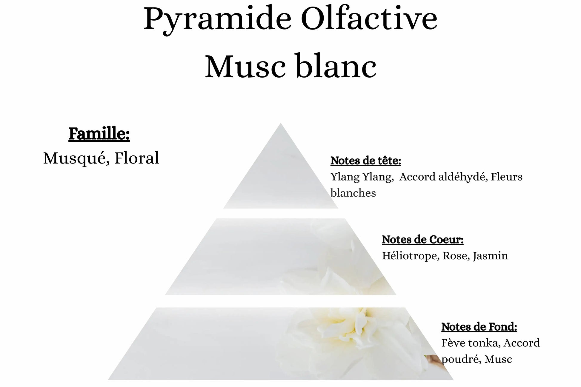 Créez une ambiance élégante et cocooning avec la fragrance Mûre Musc Blanc de La P'tite Mèche
