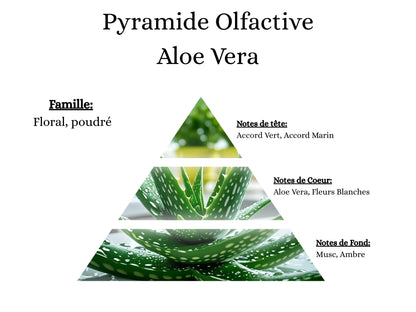 Fragrance Aloe Vera idéale pour une ambiance zen et une sensation de propreté avec ma poudre aspirateur, mes sprays et mes fondants - La P'tite Mèche
