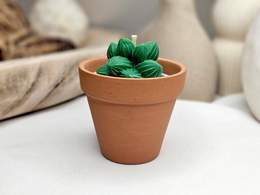 Bougie parfumée artisanale à l'Aloe Vera dans son pot en terre cuite avec un fondant décoratif en forme de cactus vert.