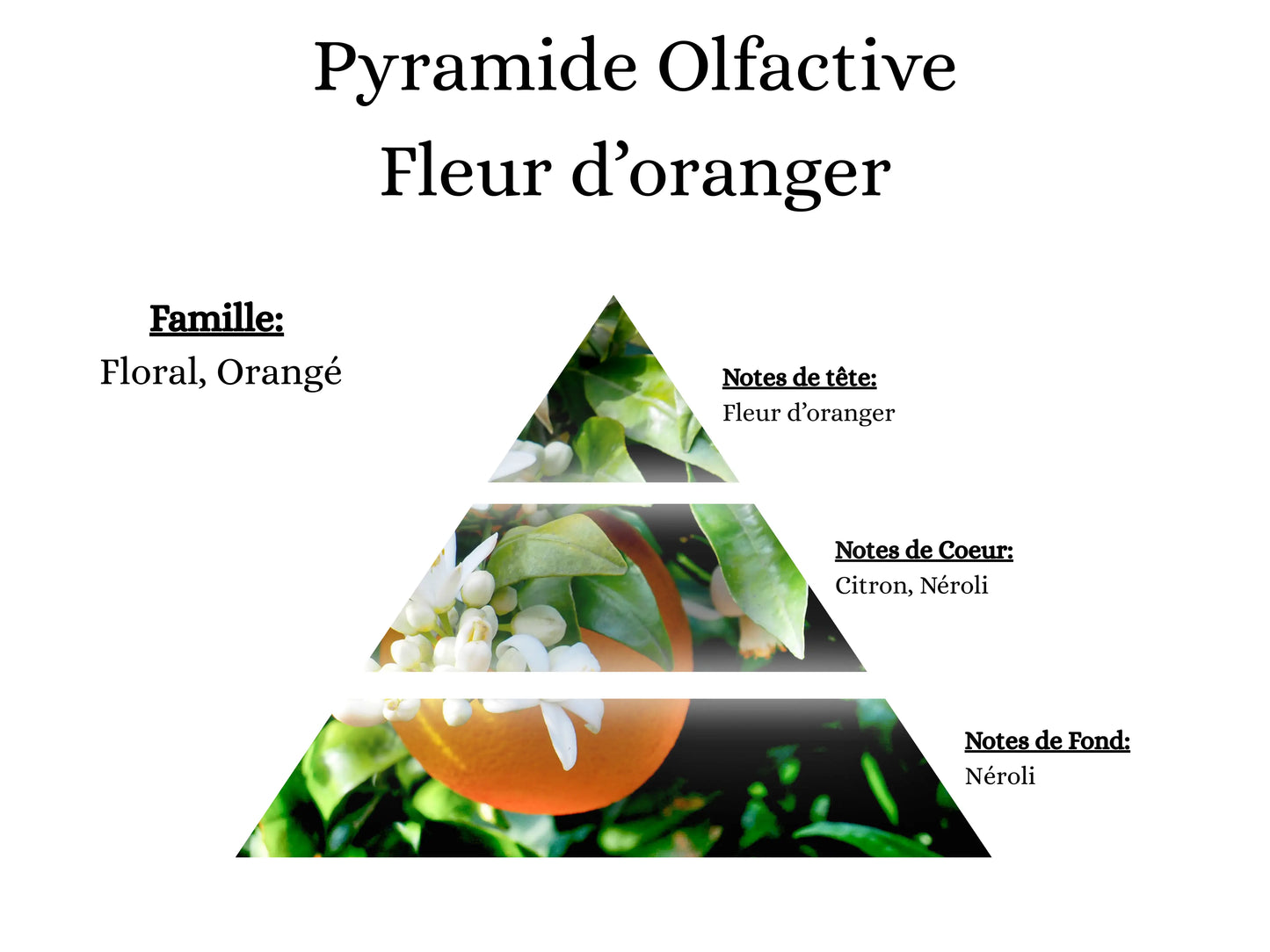 Composition bougie artisanale : cire de soja, décors cire d'olive, parfum de Grasse et colorant Bekro.