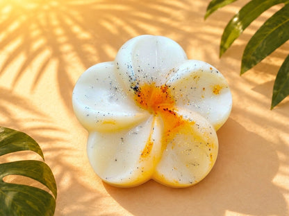 Fondant Parfumé - Mangue