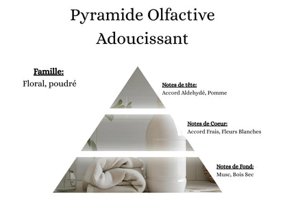 Notes de tête, cœur et fond du parfum Adoucissant : l'univers olfactif de mes créations au linge frais - La P'tite Mèche