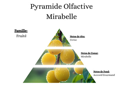 Pyramide olfactive du parfum Mirabelle : notes de tête Cerise, cœur mirabelle et fond gourmand.