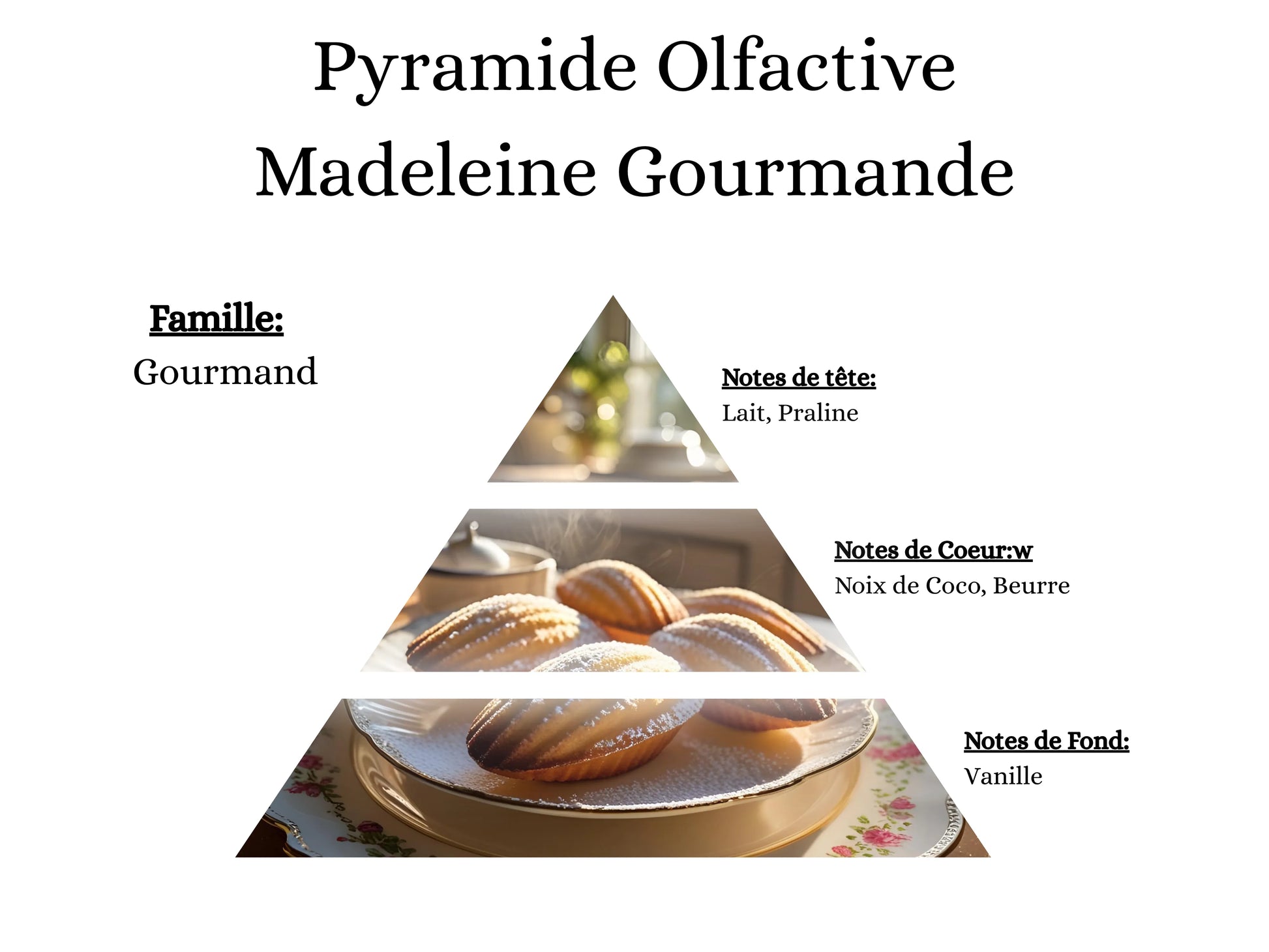 Notes de tête, cœur et fond du parfum Madeleine Gourmande : l'univers olfactif réconfortant et sucré de mes créations - La P'tite Mèche