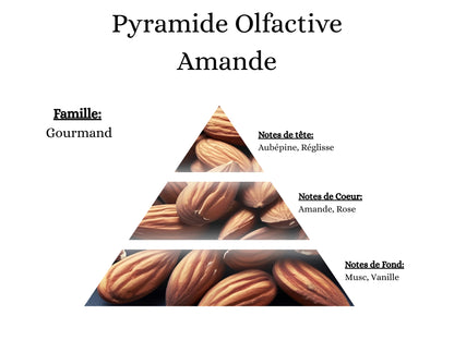 Notes de tête, cœur et fond du parfum Amande : l'univers olfactif doux, poudré et gourmand de mes créations - La P'tite Mèche