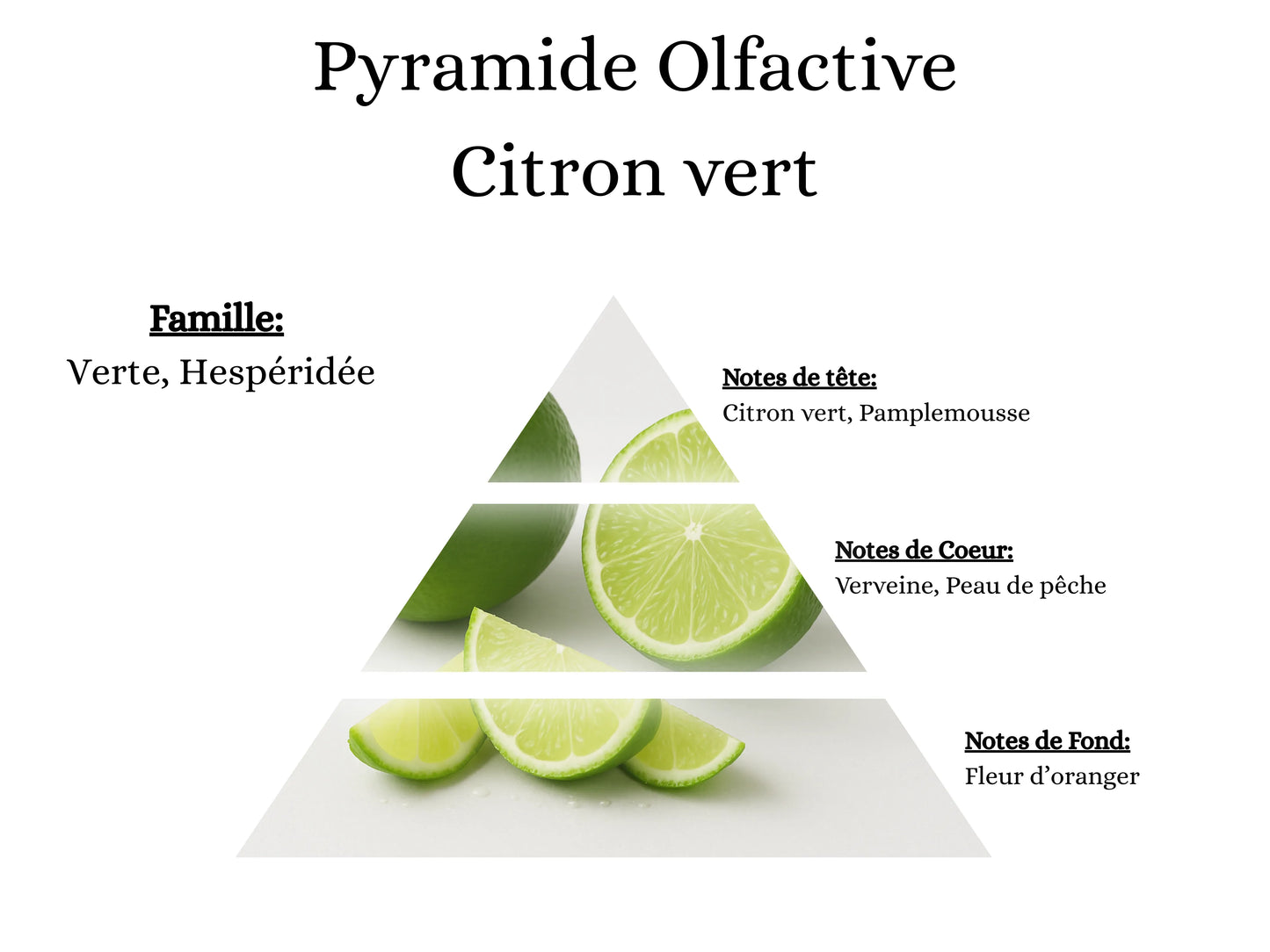Pyramide olfactive Citron Vert pour bougies parfumées, fondants, sprays, poudres et suspensions - La P'tite Mèche