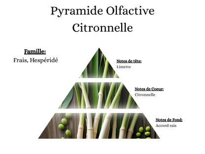 Fragrance Citronnelle idéale pour assainir et profiter de l'été avec mes sprays, suspensions et fondants - La P'tite Mèche