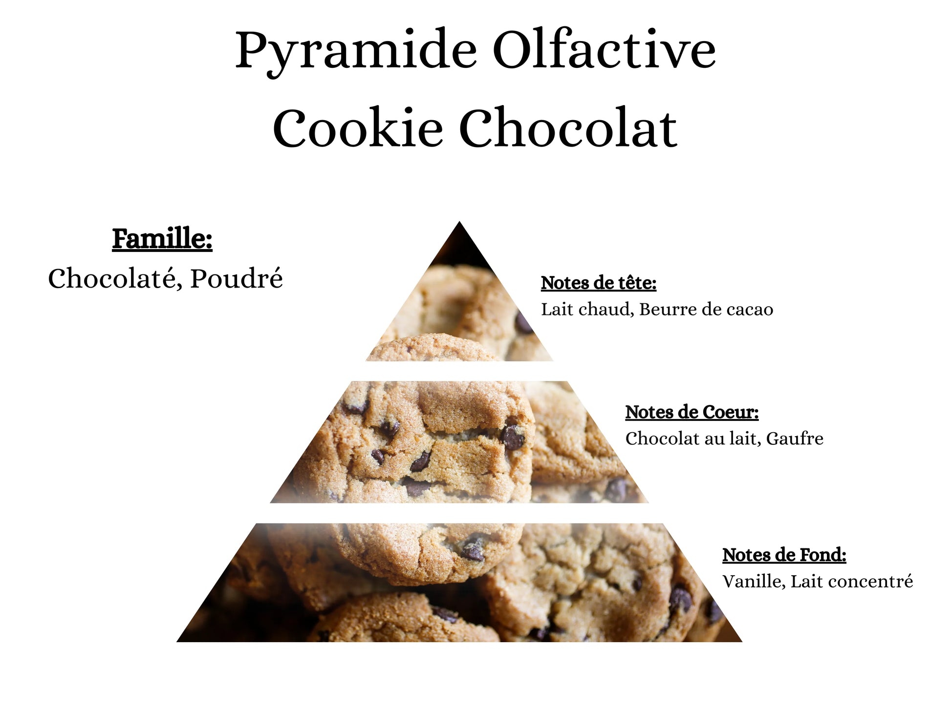 Pyramide olfactive Cookie Chocolat pour mes bougies, fondants, sprays, poudres et suspensions - La P'tite Mèche