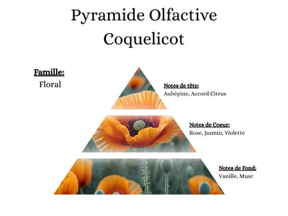 Notes de tête, cœur et fond du parfum Coquelicot : l'univers olfactif fleuri et printanier de mes créations - La P'tite Mèche