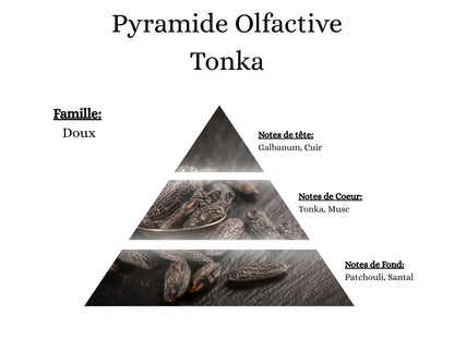 Notes de tête, cœur et fond du parfum Fève Tonka : un sillage poudré aux accents d'amande et de vanille - La P'tite Mèche