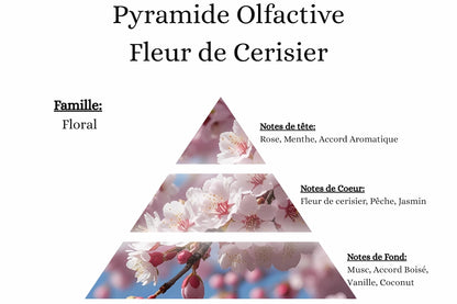 Pyramide olfactive Fleur de Cerisier pour bougies parfumées, fondants, sprays, poudres et suspensions - La P'tite Mèche