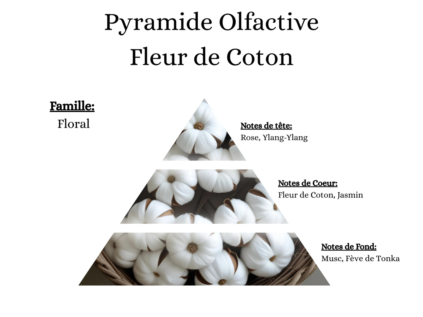 Pyramide olfactive Fleur de Coton pour mes bougies parfumées, fondants, sprays, poudres et suspensions - La P'tite Mèche