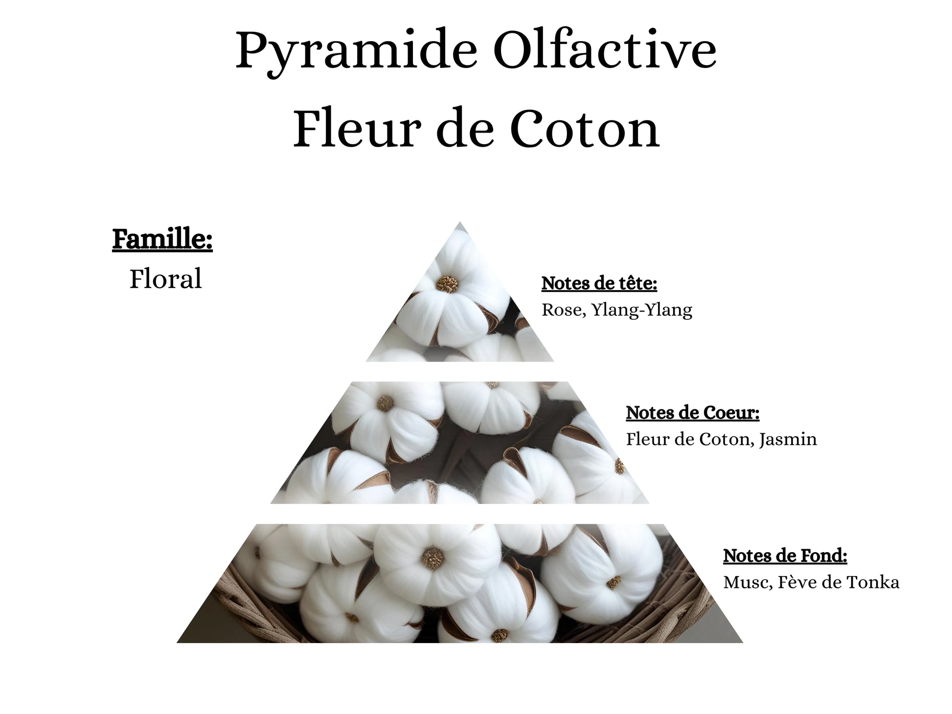 Pyramide olfactive Fleur de Coton pour mes bougies parfumées, fondants, sprays, poudres et suspensions - La P'tite Mèche