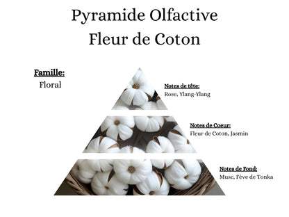 Pyramide olfactive Fleur de Coton pour mes bougies parfumées, fondants, sprays, poudres et suspensions - La P'tite Mèche