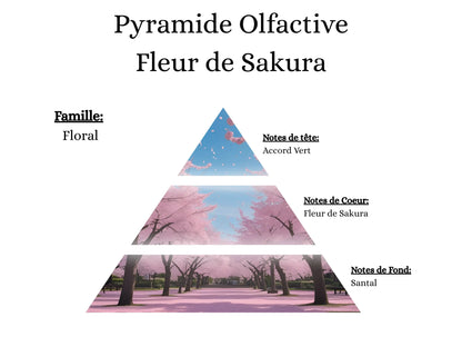 Notes olfactives Fleur de Sakura : fragrance de Grasse sans phtalates (accord vert, Sakura, santal).