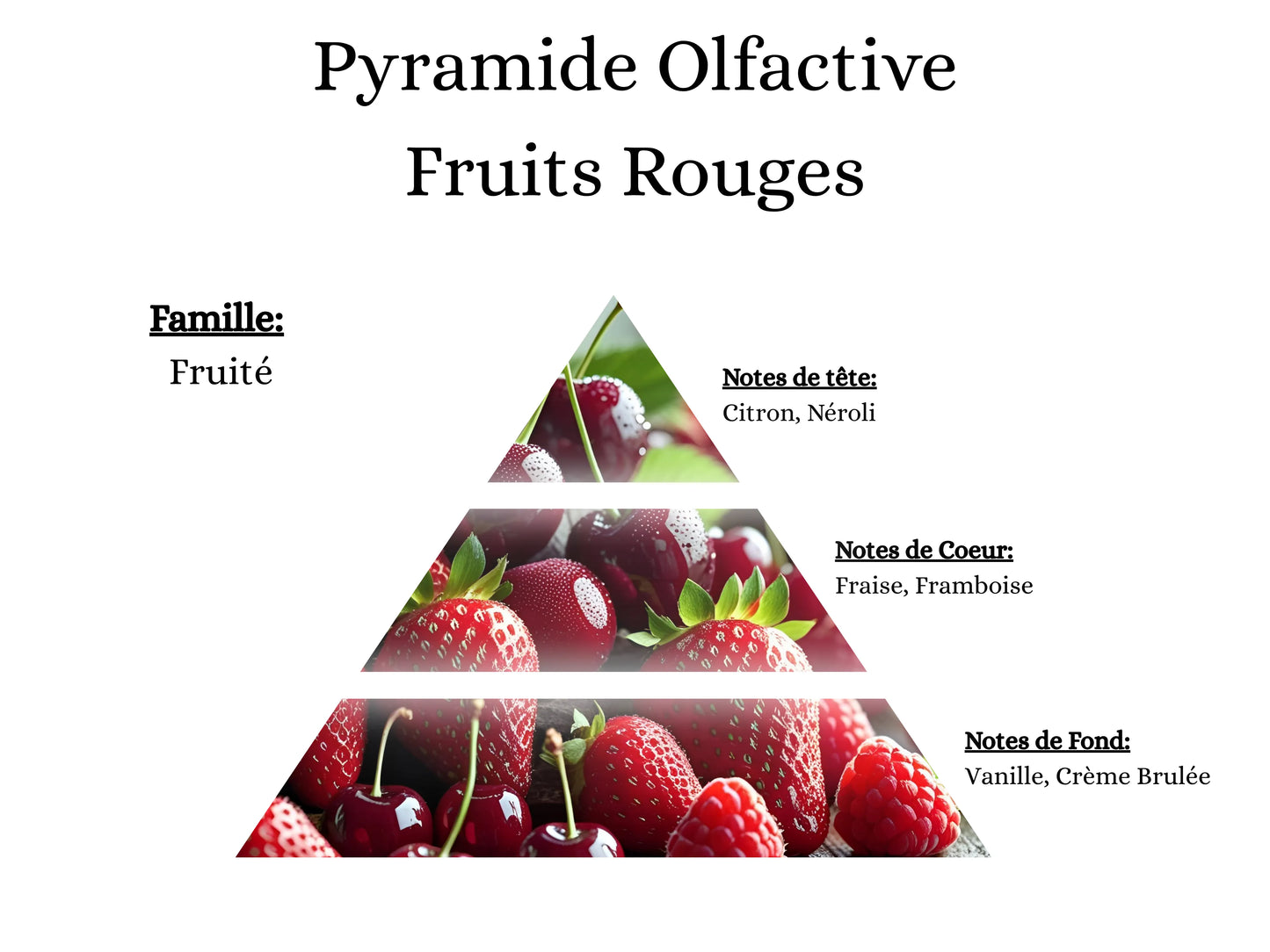 Pyramide olfactive Fruits Rouges pour mes bougies, fondants, sprays, poudres et suspensions - La P'tite Mèche