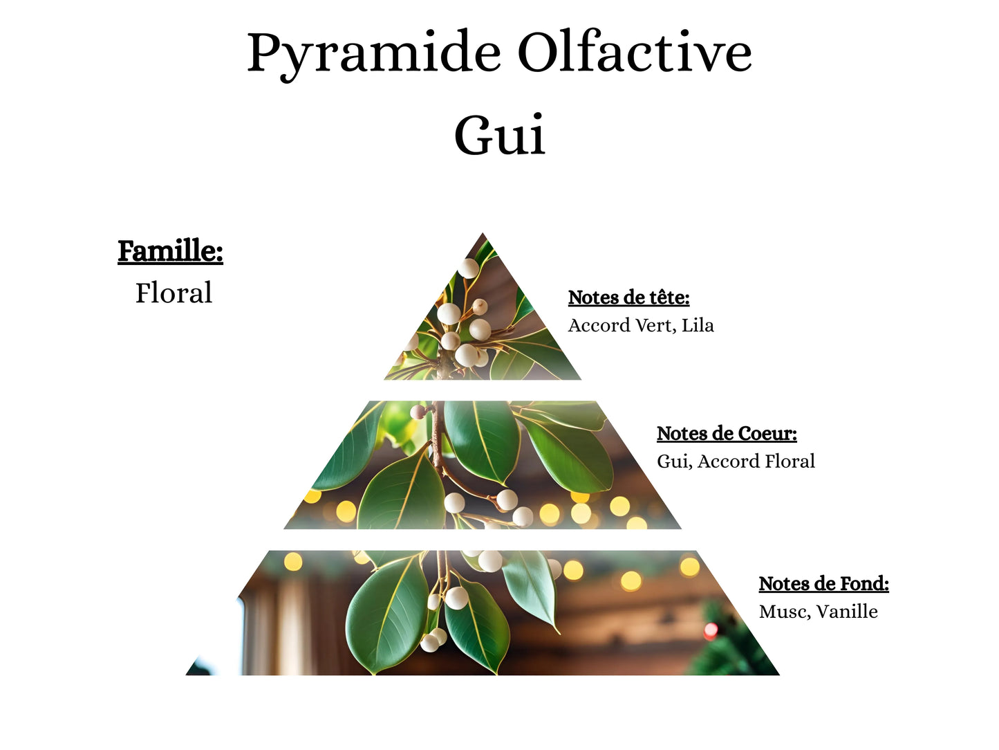 Pyramide olfactive Gui pour mes bougies parfumées, fondants, sprays, poudres et suspensions - La P'tite Mèche