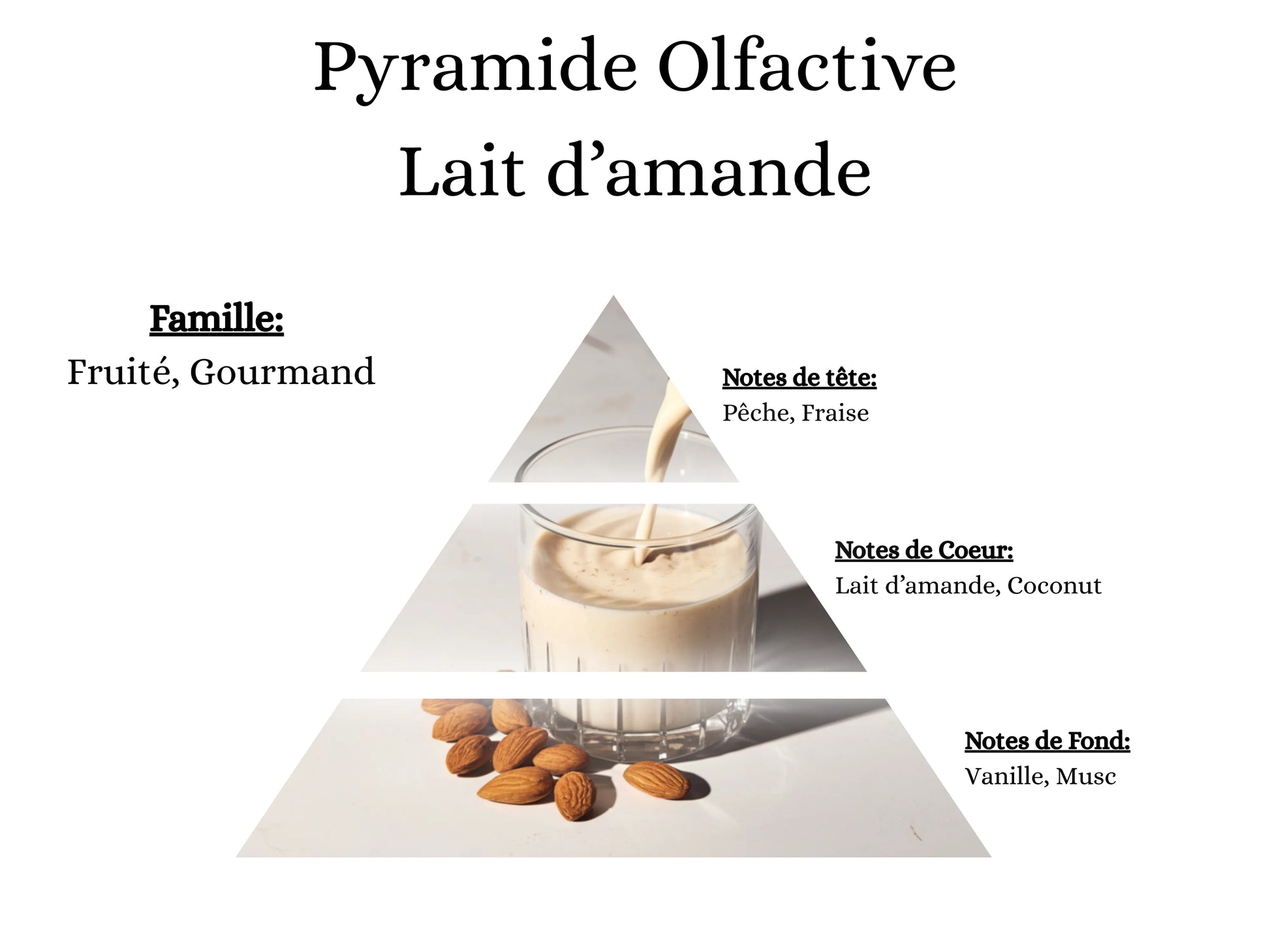 Pyramide olfactive Lait d'Amande pour bougies parfumées, fondants, sprays, poudres et suspensions - La P'tite Mèche