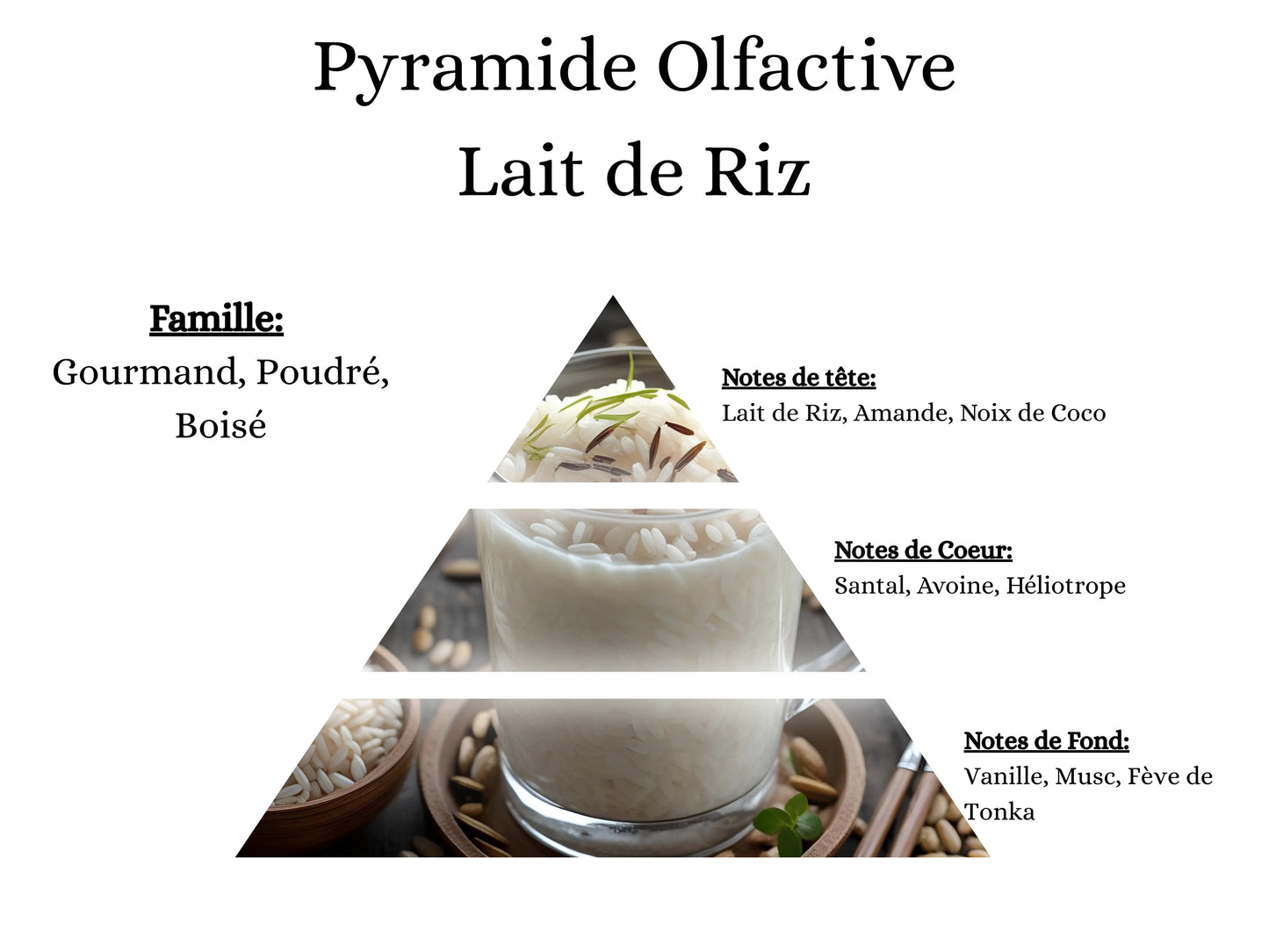 Notes de tête, cœur et fond du parfum Lait de Riz : l'univers olfactif doux et poudré de mes créations cocooning - La P'tite Mèche