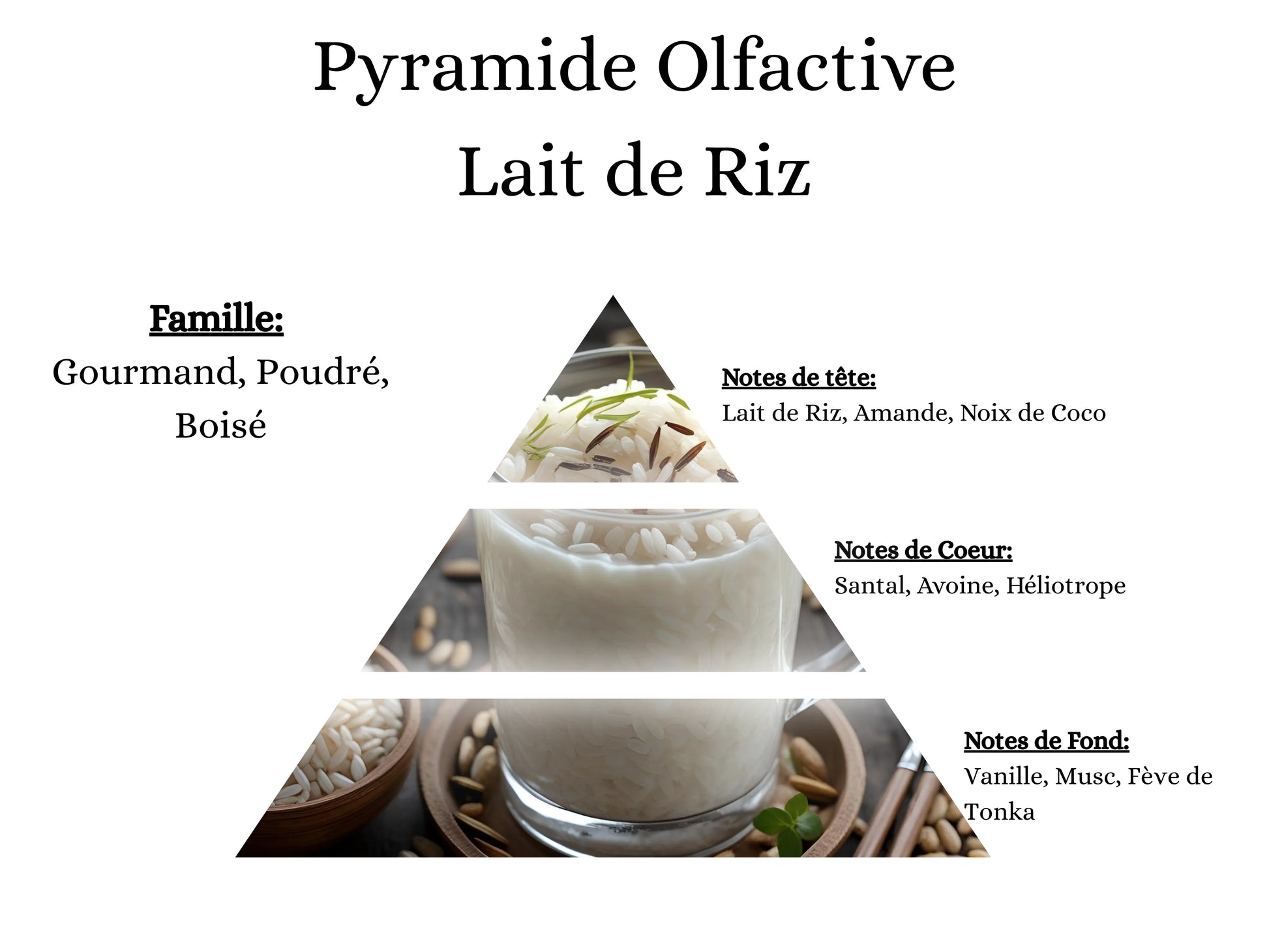 Notes de tête, cœur et fond du parfum Lait de Riz : l'univers olfactif doux et poudré de mes créations cocooning - La P'tite Mèche
