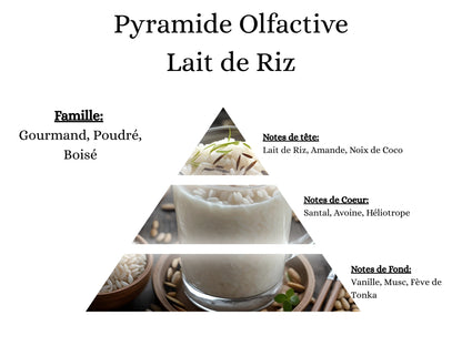 Notes de tête, cœur et fond du parfum Lait de Riz : l'univers olfactif doux et poudré de mes créations cocooning - La P'tite Mèche