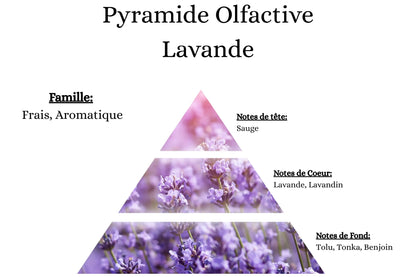Pyramide olfactive Lavande pour mes bougies, fondants, sprays, poudres et suspensions - La P'tite Mèche