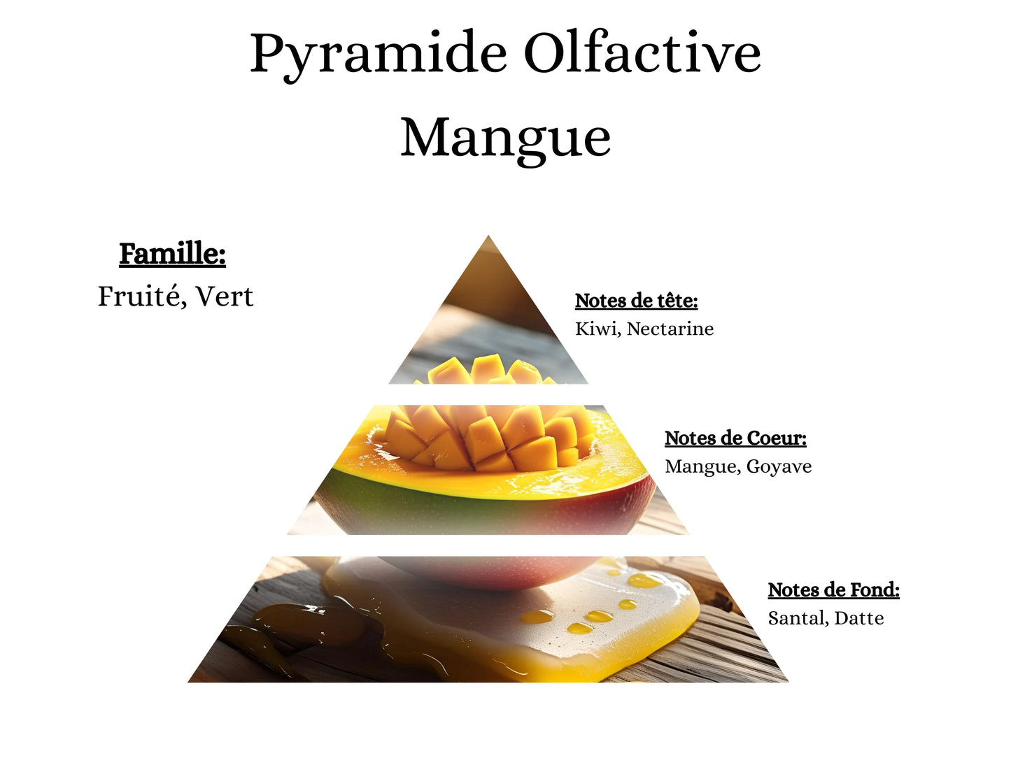 Pyramide olfactive Mangue pour mes bougies parfumées, fondants, sprays, poudres et suspensions - La P'tite Mèche