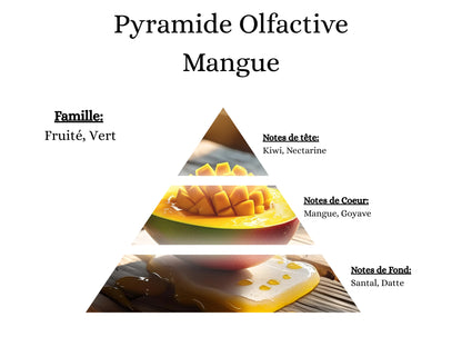 Pyramide olfactive Mangue pour mes bougies parfumées, fondants, sprays, poudres et suspensions - La P'tite Mèche