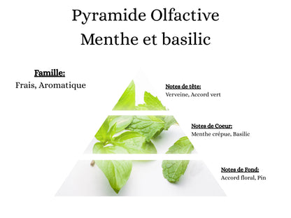 Fragrance Menthe Basilic idéale pour rafraîchir et désodoriser avec ma poudre aspirateur, mes sprays et mes fondants - La P'tite Mèche
