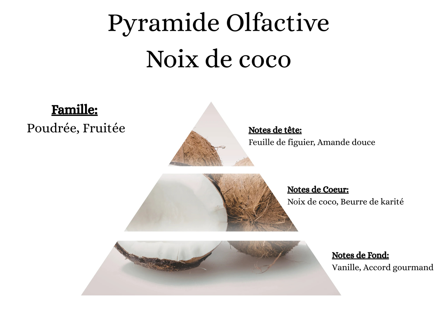 Bougie Gourmande - Noix de coco
