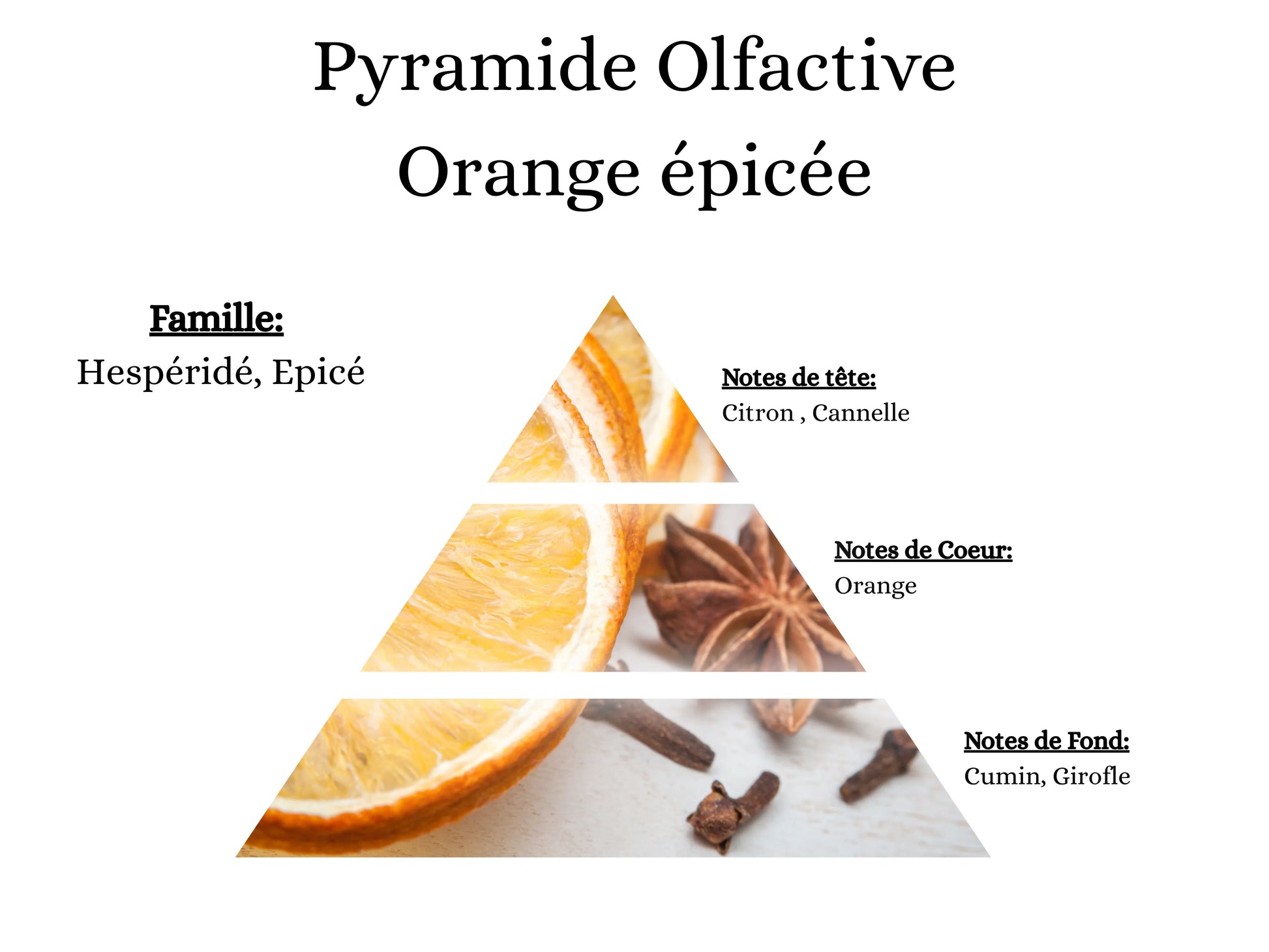 Pyramide olfactive Orange Épicée pour mes bougies parfumées, fondants, sprays, poudres et suspensions - La P'tite Mèche