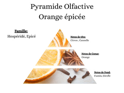 Pyramide olfactive Orange Épicée pour mes bougies parfumées, fondants, sprays, poudres et suspensions - La P'tite Mèche