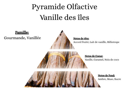 Pyramide olfactive Vanille des Îles pour mes bougies, fondants, sprays, poudres et suspensions - La P'tite Mèche