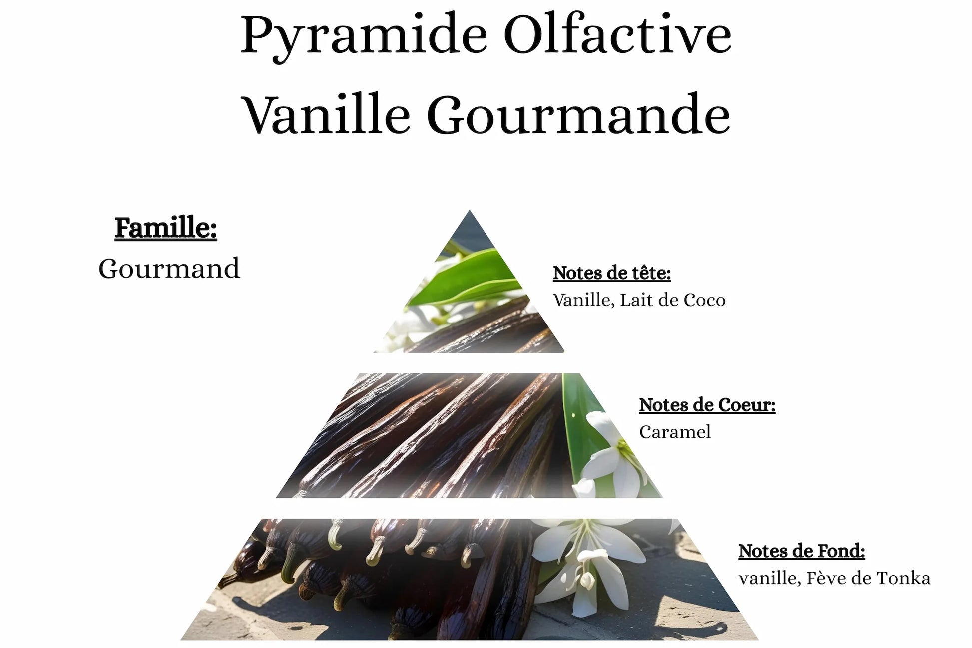 Notes olfactives vanille gourmande pour fondant parfumé, cire végétale et colorant Bekro.