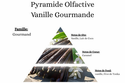 Notes olfactives vanille gourmande pour fondant parfumé, cire végétale et colorant Bekro.