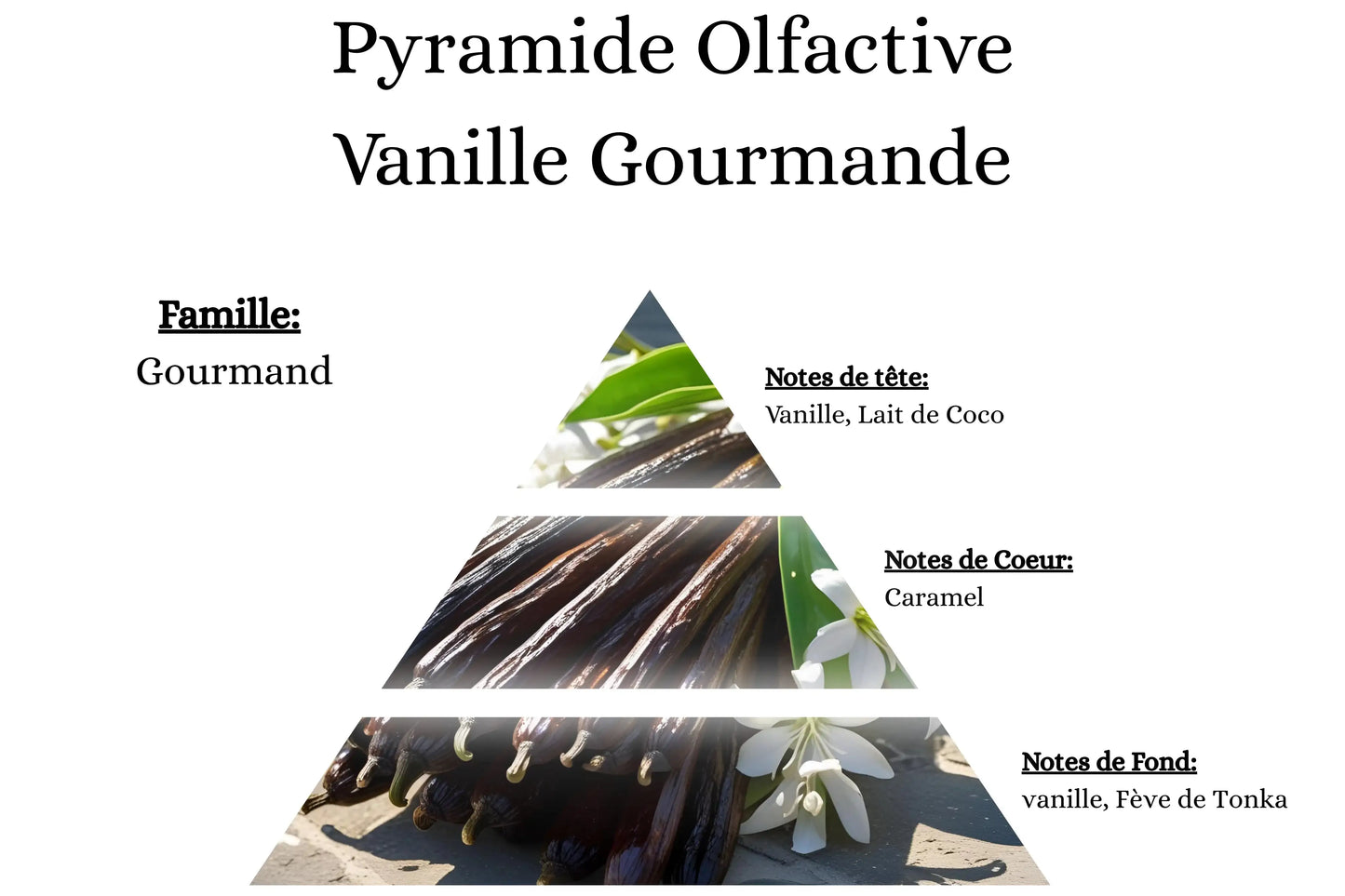 Pyramide olfactive Vanille Gourmande pour mes bougies, fondants, sprays, poudres et suspensions - La P'tite Mèche