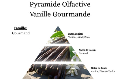 Pyramide olfactive Vanille Gourmande pour mes bougies, fondants, sprays, poudres et suspensions - La P'tite Mèche