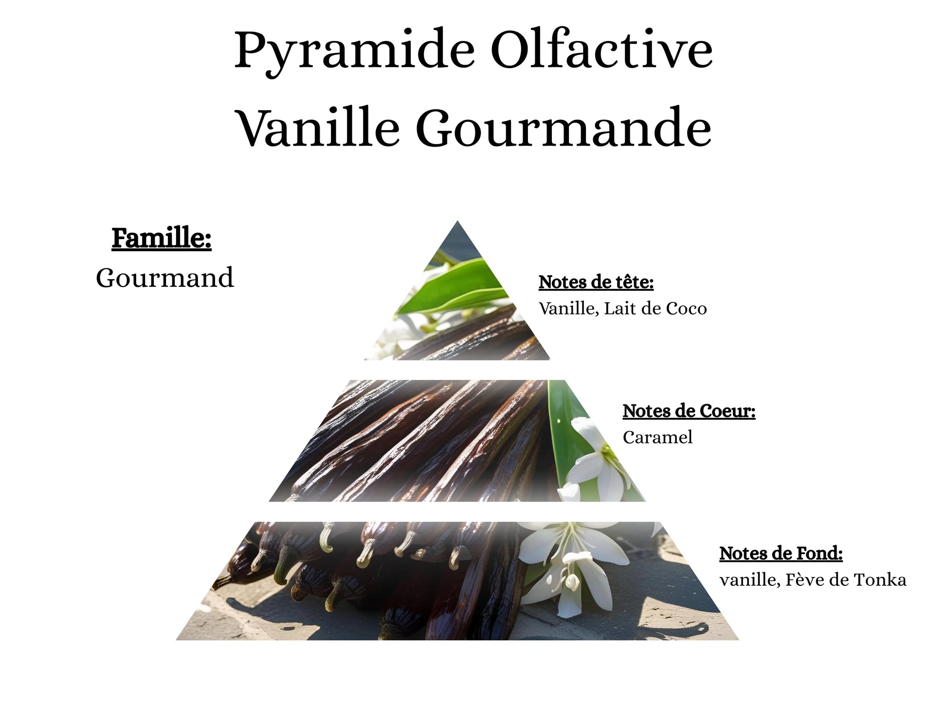 Pyramide olfactive Vanille Gourmande pour mes bougies, fondants, sprays, poudres et suspensions - La P'tite Mèche