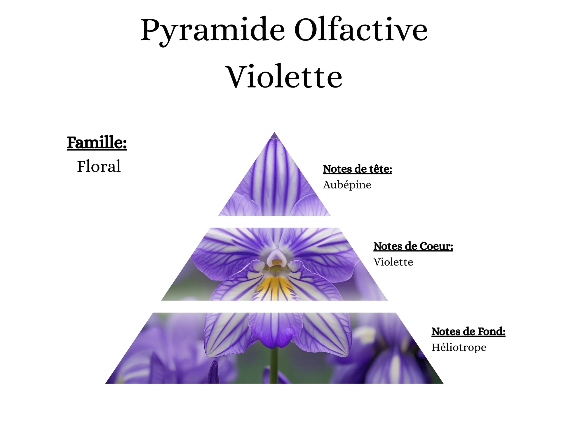Pyramide olfactive Violette pour mes bougies parfumées, fondants, sprays, poudres et suspensions - La P'tite Mèche