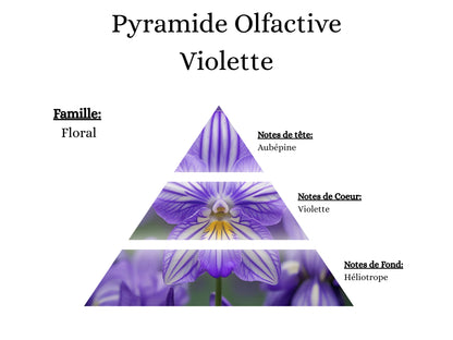 Pyramide olfactive Violette pour mes bougies parfumées, fondants, sprays, poudres et suspensions - La P'tite Mèche