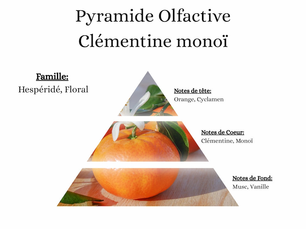 Bougie Gourmande - Clémentine monoï
